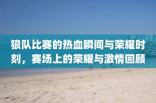 狼隊(duì)比賽的熱血瞬間與榮耀時刻，賽場上的榮耀與激情回顧