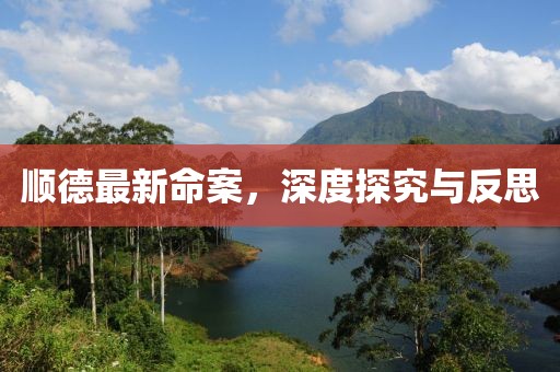 順德最新命案，深度探究與反思