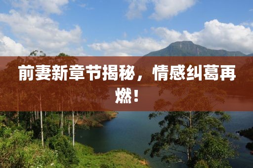 前妻新章節(jié)揭秘，情感糾葛再燃！