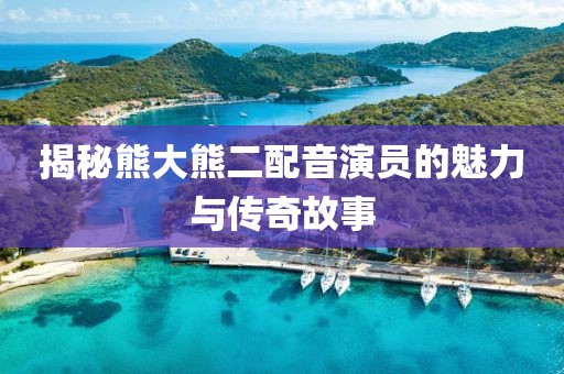 揭秘熊大熊二配音演員的魅力與傳奇故事