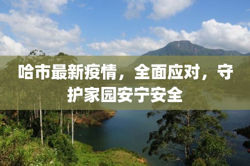 哈市最新疫情，全面應(yīng)對(duì)，守護(hù)家園安寧安全