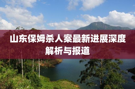 山東保姆殺人案最新進(jìn)展深度解析與報(bào)道