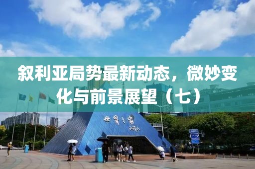敘利亞局勢(shì)最新動(dòng)態(tài)，微妙變化與前景展望（七）