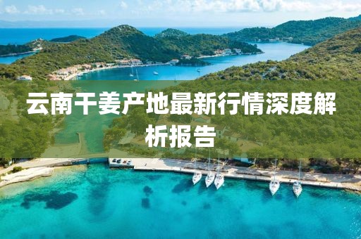云南干姜產(chǎn)地最新行情深度解析報告