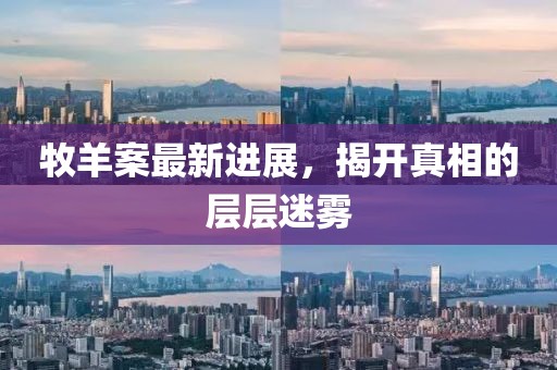 牧羊案最新進展，揭開真相的層層迷霧