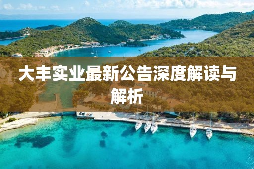 大豐實業(yè)最新公告深度解讀與解析