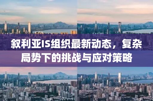 敘利亞IS組織最新動態(tài)，復雜局勢下的挑戰(zhàn)與應對策略