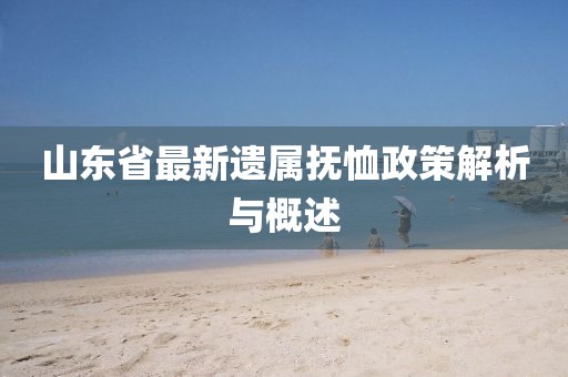 山東省最新遺屬撫恤政策解析與概述