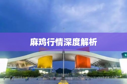 麻雞行情深度解析