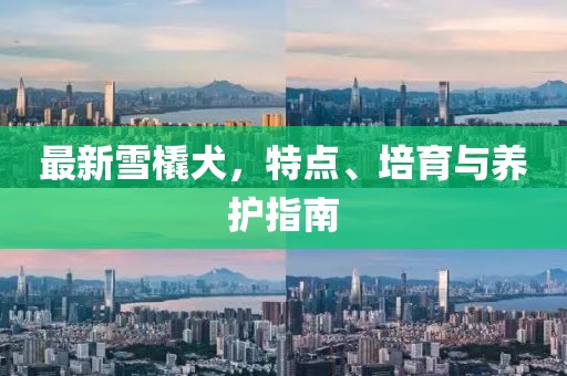 最新雪橇犬，特點(diǎn)、培育與養(yǎng)護(hù)指南