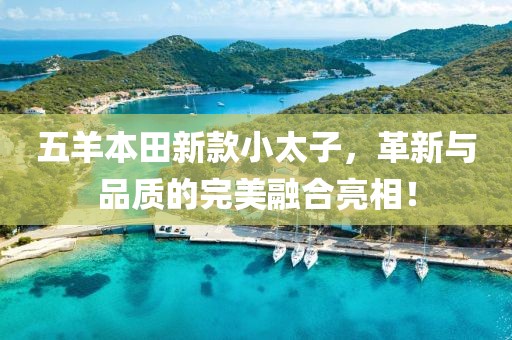 五羊本田新款小太子，革新與品質(zhì)的完美融合亮相！