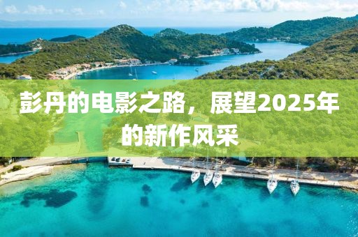 彭丹的電影之路，展望2025年的新作風(fēng)采