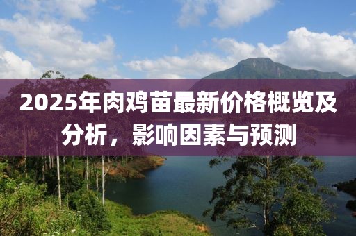 2025年肉雞苗最新價格概覽及分析，影響因素與預(yù)測