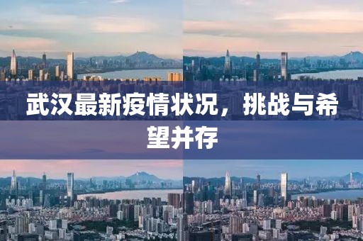 武漢最新疫情狀況，挑戰(zhàn)與希望并存