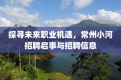 探尋未來職業(yè)機(jī)遇，常州小河招聘啟事與招聘信息
