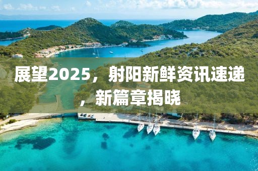 展望2025，射陽新鮮資訊速遞，新篇章揭曉