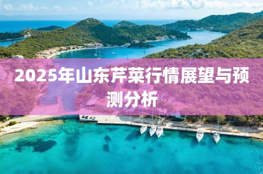 2025年山東芹菜行情展望與預測分析