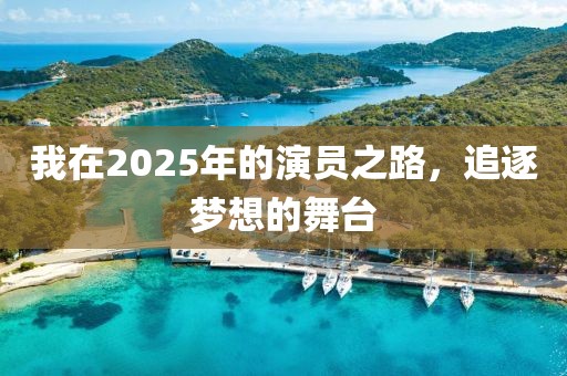 我在2025年的演員之路，追逐夢想的舞臺