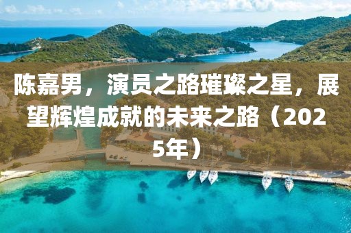 陳嘉男，演員之路璀璨之星，展望輝煌成就的未來之路（2025年）