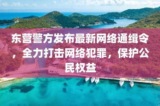 東營警方發(fā)布最新網(wǎng)絡(luò)通緝令，全力打擊網(wǎng)絡(luò)犯罪，保護(hù)公民權(quán)益