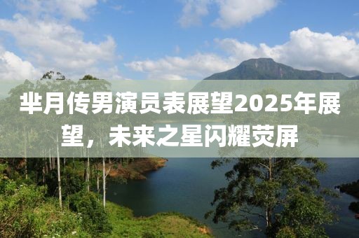 羋月傳男演員表展望2025年展望，未來之星閃耀熒屏