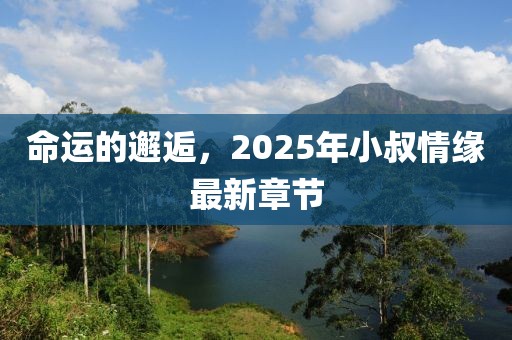 命運(yùn)的邂逅，2025年小叔情緣最新章節(jié)