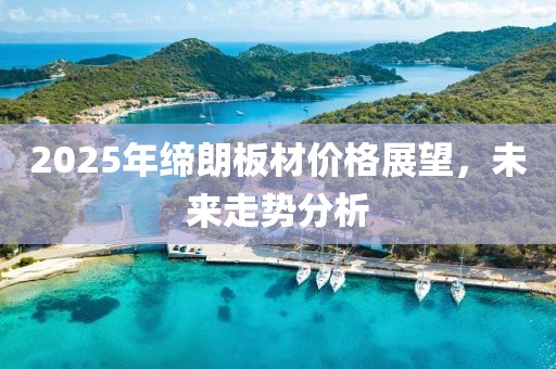 2025年締朗板材價格展望，未來走勢分析