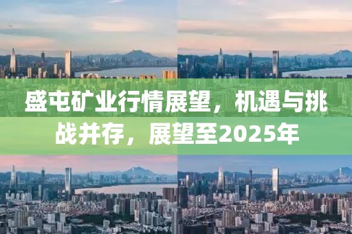 盛屯礦業(yè)行情展望，機(jī)遇與挑戰(zhàn)并存，展望至2025年