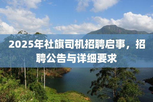 2025年社旗司機(jī)招聘啟事，招聘公告與詳細(xì)要求
