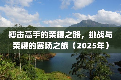 搏擊高手的榮耀之路，挑戰(zhàn)與榮耀的賽場之旅（2025年）