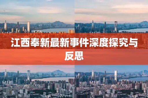 江西奉新最新事件深度探究與反思