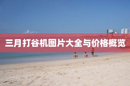 三月打谷機(jī)圖片大全與價(jià)格概覽