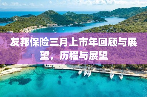 友邦保險(xiǎn)三月上市年回顧與展望，歷程與展望