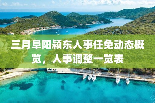 三月阜陽潁東人事任免動(dòng)態(tài)概覽，人事調(diào)整一覽表