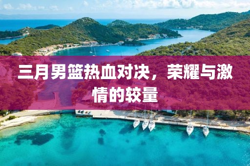 三月男籃熱血對(duì)決，榮耀與激情的較量