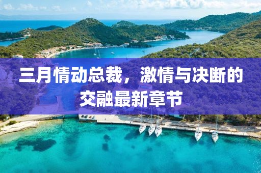 三月情動總裁，激情與決斷的交融最新章節(jié)
