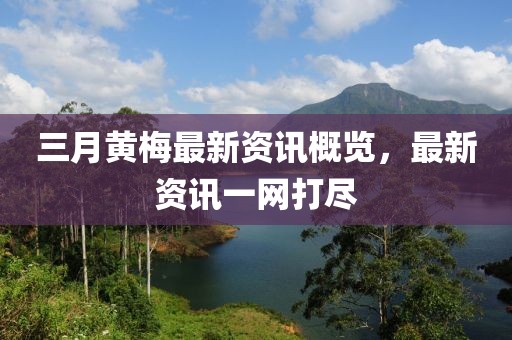 三月黃梅最新資訊概覽，最新資訊一網(wǎng)打盡