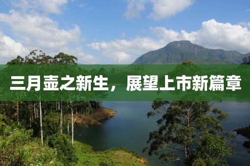 三月壺之新生，展望上市新篇章