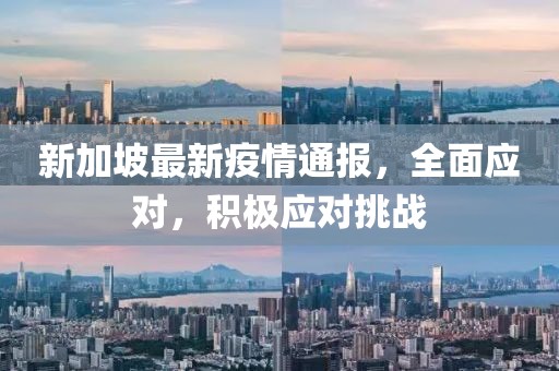 新加坡最新疫情通報(bào)，全面應(yīng)對(duì)，積極應(yīng)對(duì)挑戰(zhàn)
