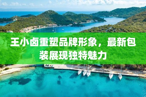 王小鹵重塑品牌形象，最新包裝展現(xiàn)獨(dú)特魅力