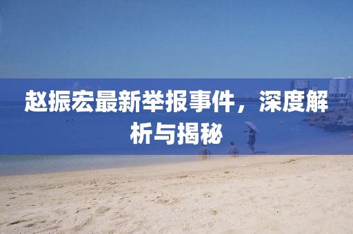 趙振宏最新舉報事件，深度解析與揭秘
