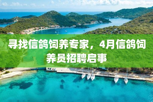 尋找信鴿飼養(yǎng)專家，4月信鴿飼養(yǎng)員招聘啟事