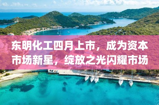 東明化工四月上市，成為資本市場(chǎng)新星，綻放之光閃耀市場(chǎng)