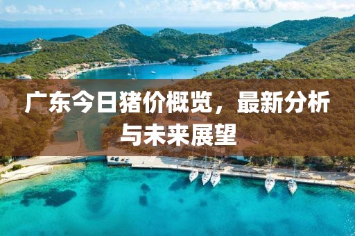 廣東今日豬價概覽，最新分析與未來展望
