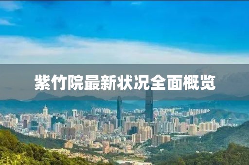 2024年11月 第51頁