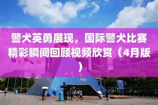 警犬英勇展現(xiàn)，國際警犬比賽精彩瞬間回顧視頻欣賞（4月版）