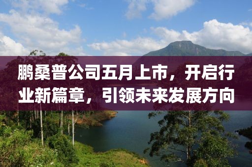 鵬桑普公司五月上市，開啟行業(yè)新篇章，引領(lǐng)未來發(fā)展方向