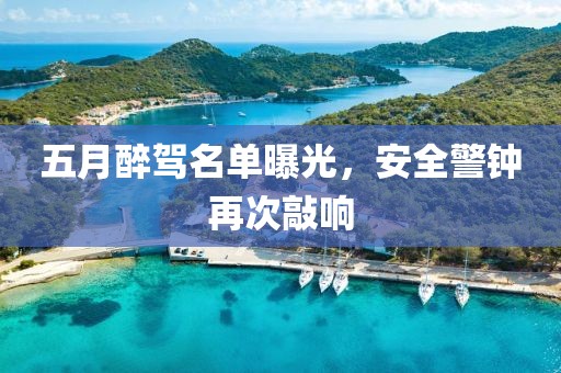 五月醉駕名單曝光，安全警鐘再次敲響