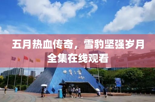五月熱血傳奇，雪豹堅(jiān)強(qiáng)歲月全集在線觀看