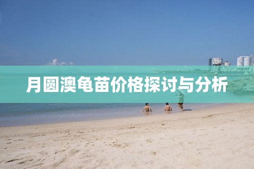 月圓澳龜苗價格探討與分析